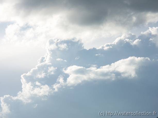 2004-08-20 18-29-11 Nature 142,0mm 1_640_eme F6,3 